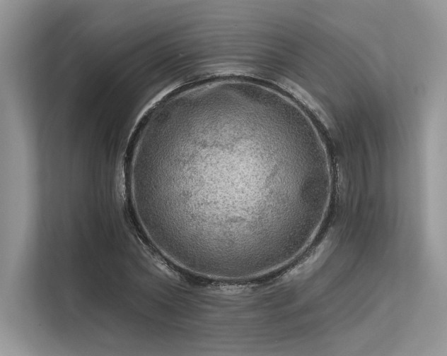 X0000113340782200909221123