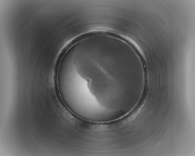 X0000113340783200909221123