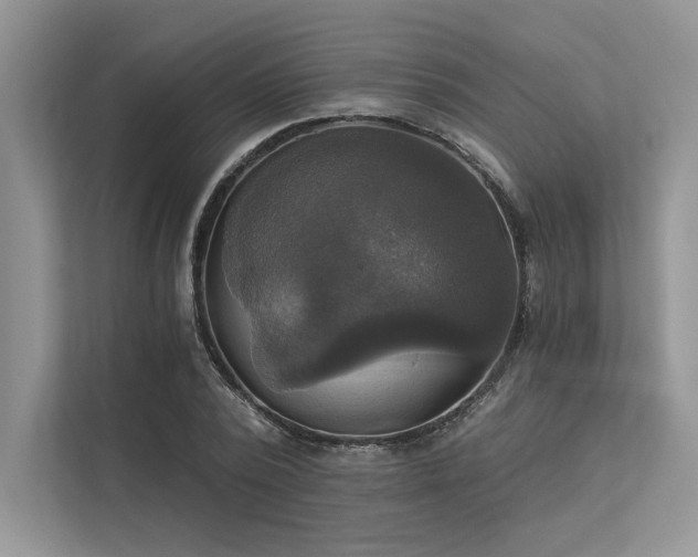 X0000113340784200909221123