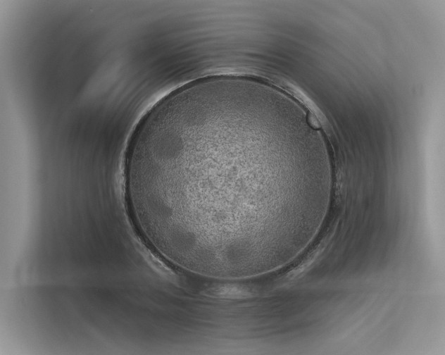 X0000113340787200909221122