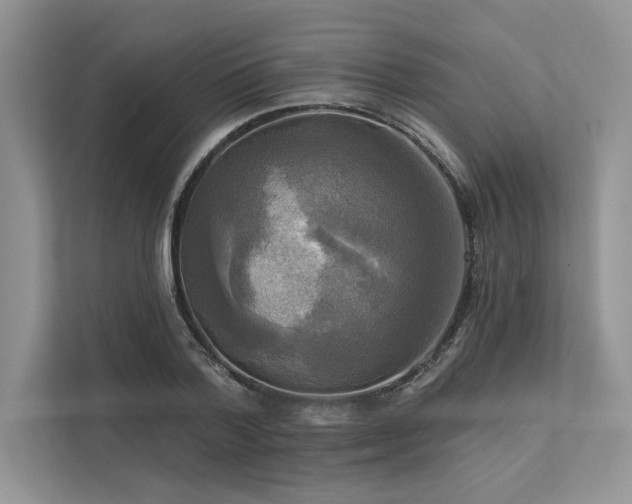 X0000113340788200909221122