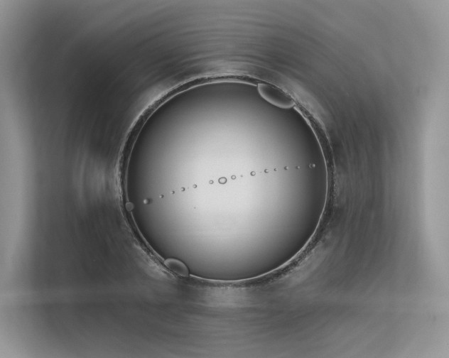 X0000113340789200909221122