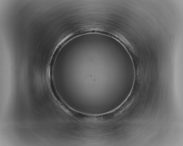 X0000113340790200909221122