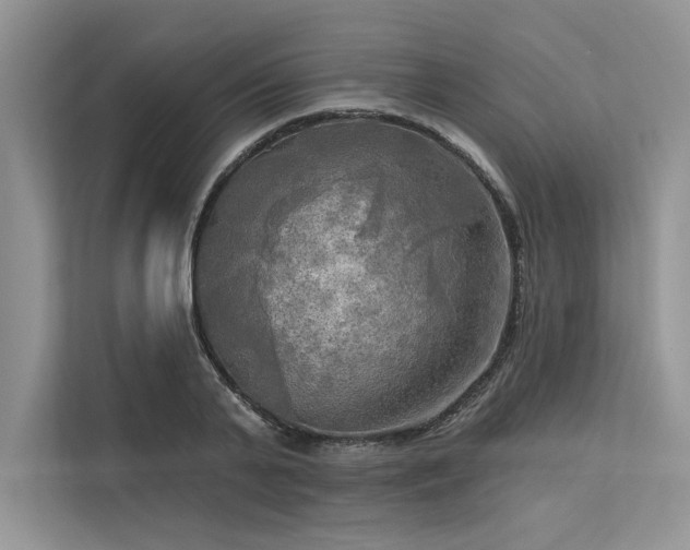 X0000113340791200909221122