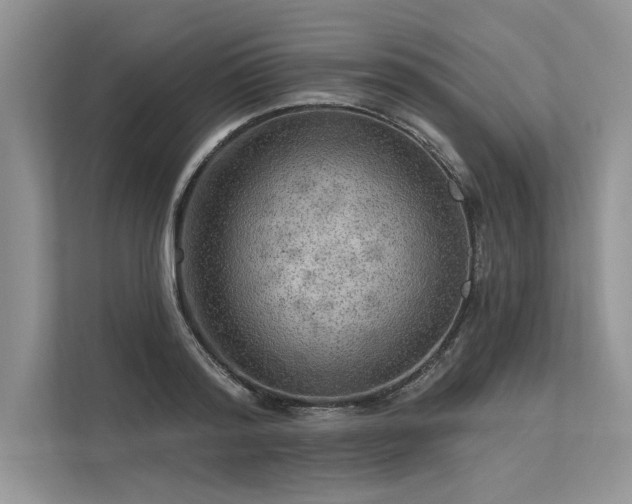 X0000113340796200909221122