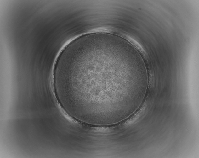 X0000113340800200909221122