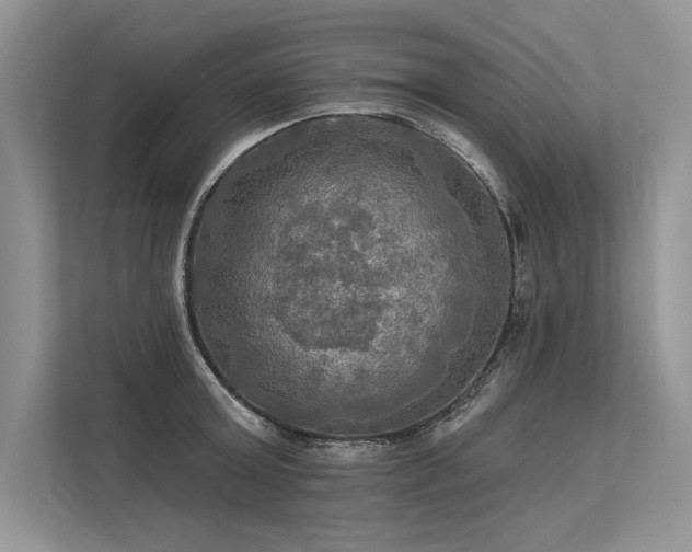 X0000113340803200909221122