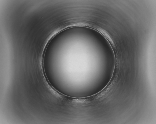 X0000113340805200909221122