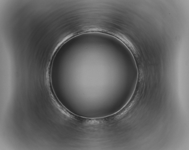 X0000113340806200909221122