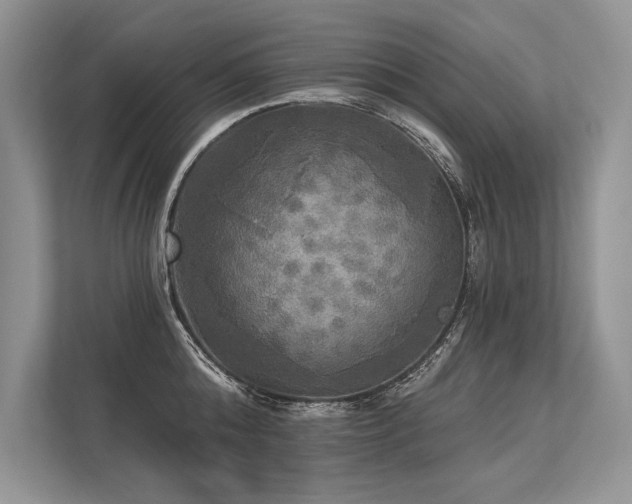 X0000113340808200909221122