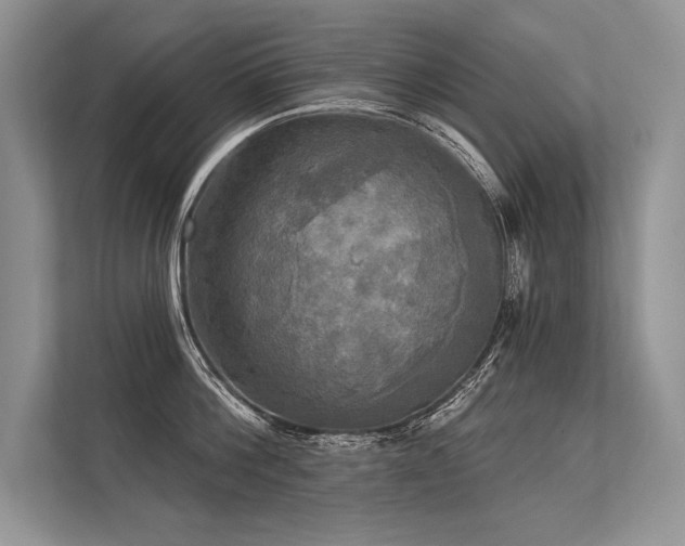 X0000113340812200909221122