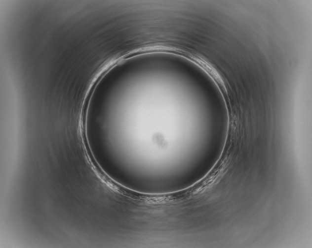 X0000113340813200909221122