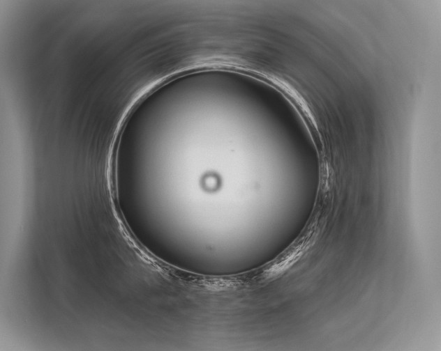 X0000113340815200909221122