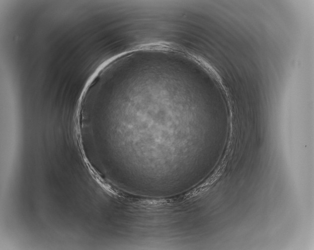 X0000113340816200909221122