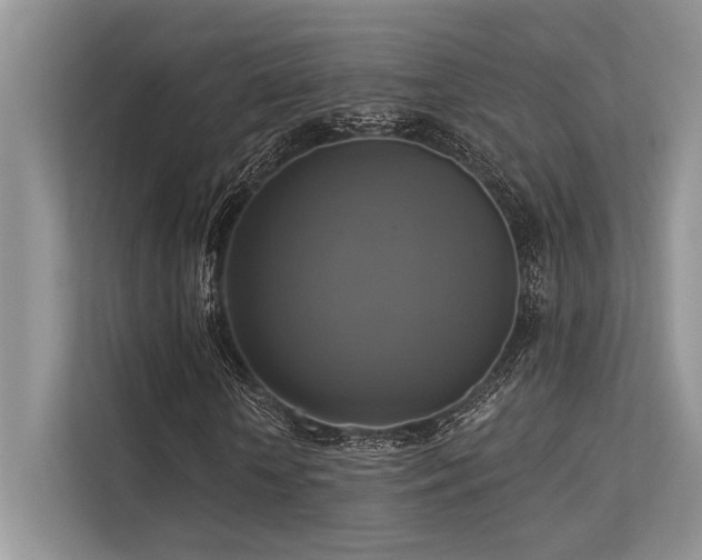 X0000113340818200909221121