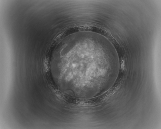 X0000113340819200909221121