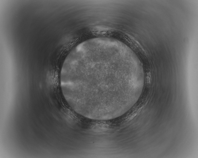 X0000113340820200909221122