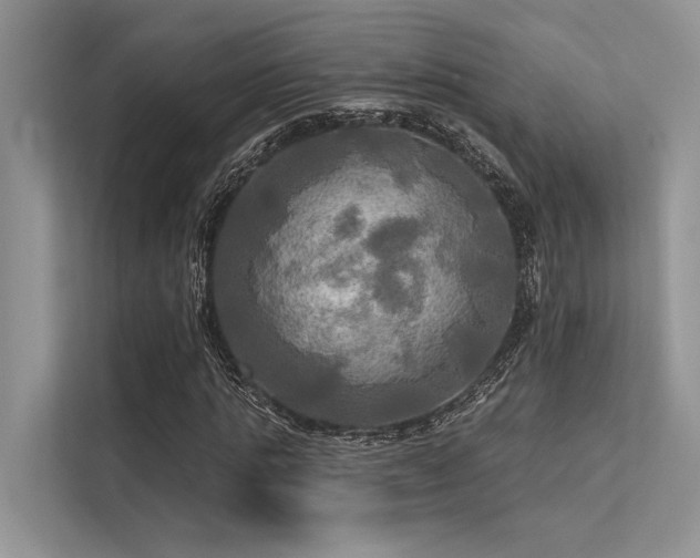 X0000113340821200909221122