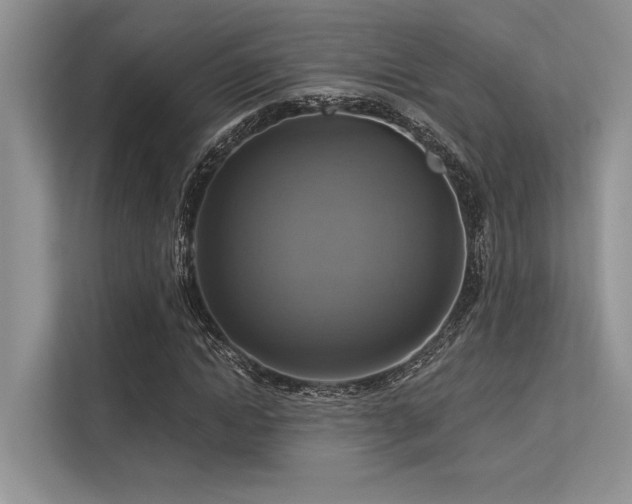 X0000113340822200909221122