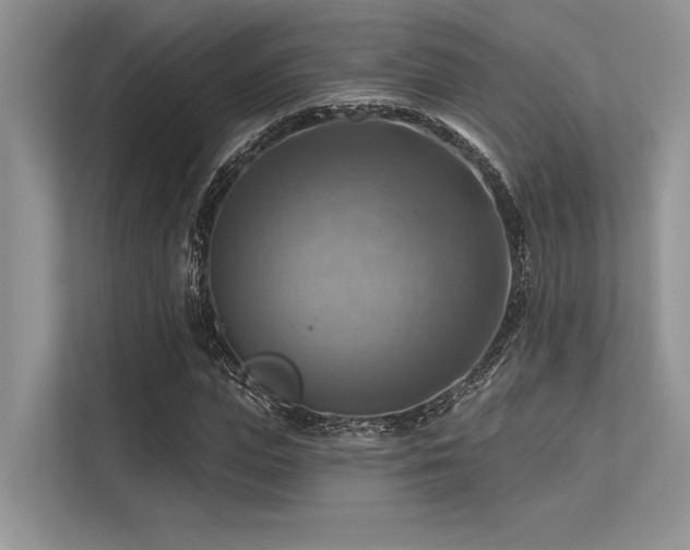 X0000113340823200909221122