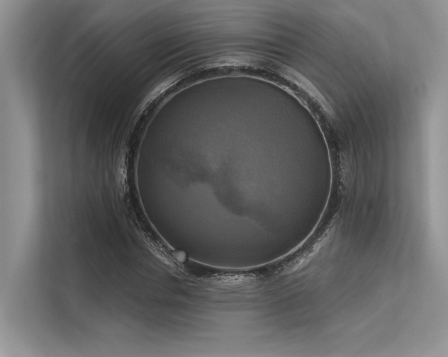 X0000113340826200909221122