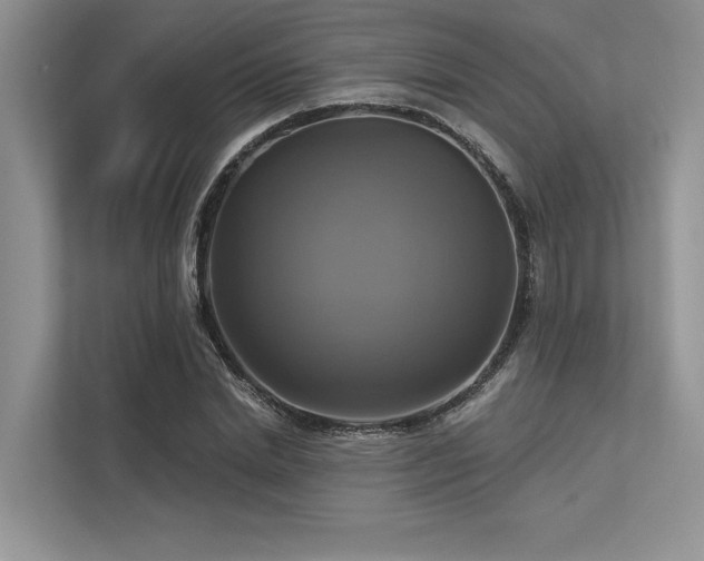 X0000113340830200909221122