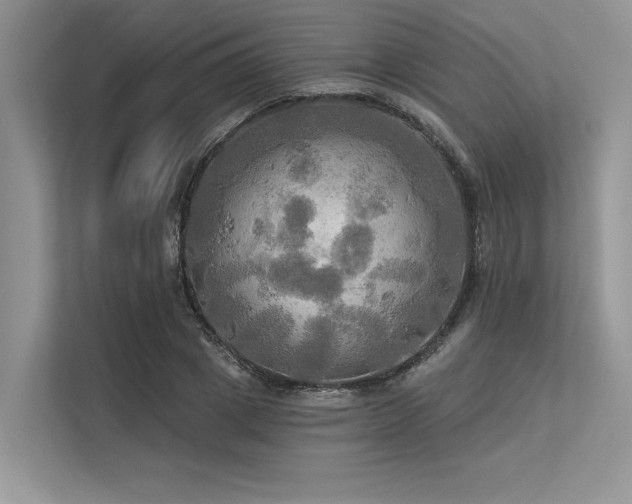 X0000113340833200909221122