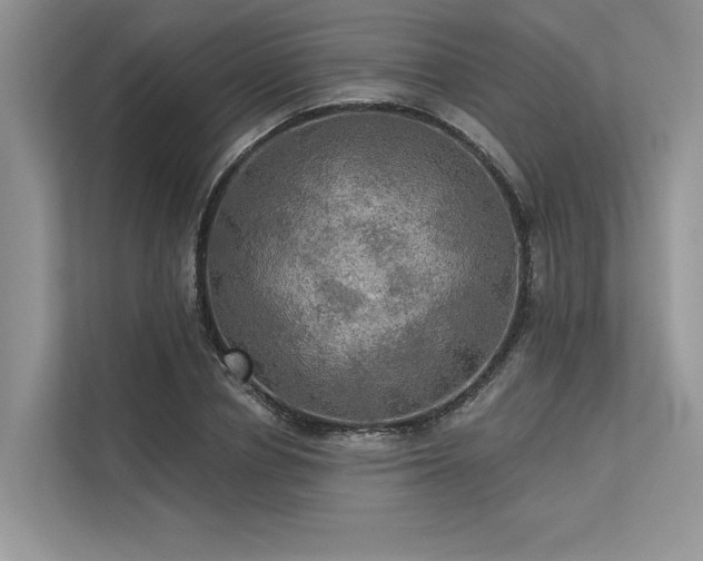 X0000113340834200909221122