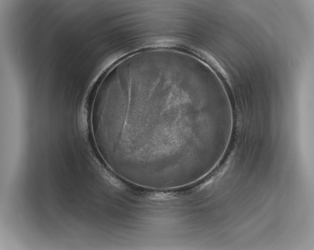 X0000113340835200909221122