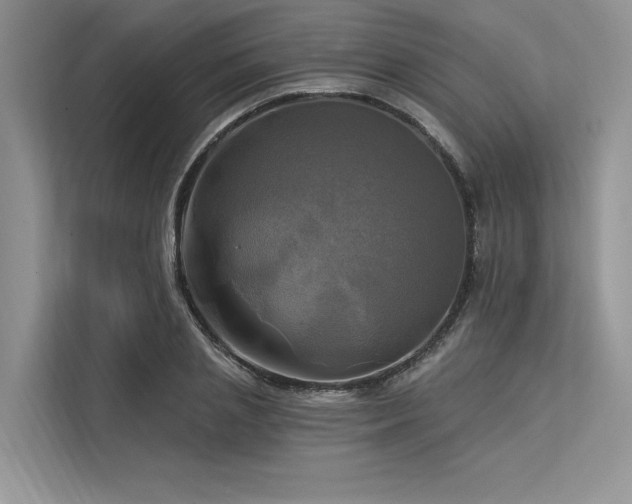 X0000113340837200909221122