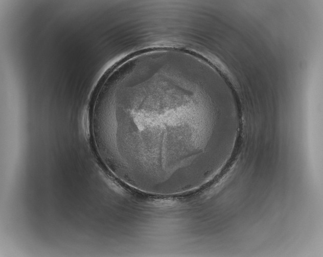 X0000113340838200909221122