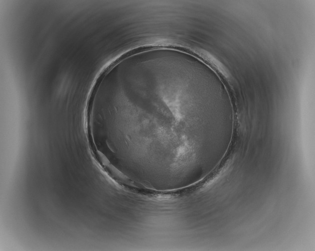 X0000113340839200909221122