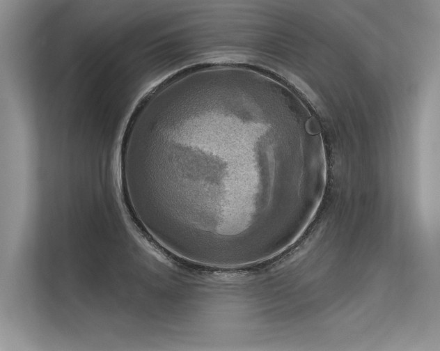 X0000113340840200909221122