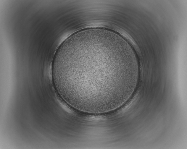 X0000113340842200909221122