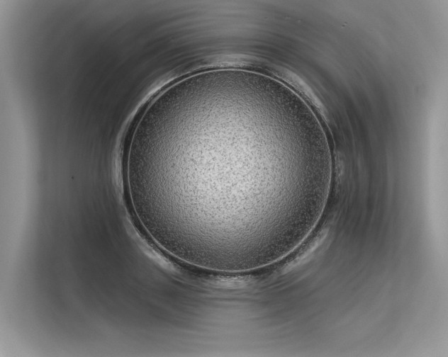 X0000113340843200909221122