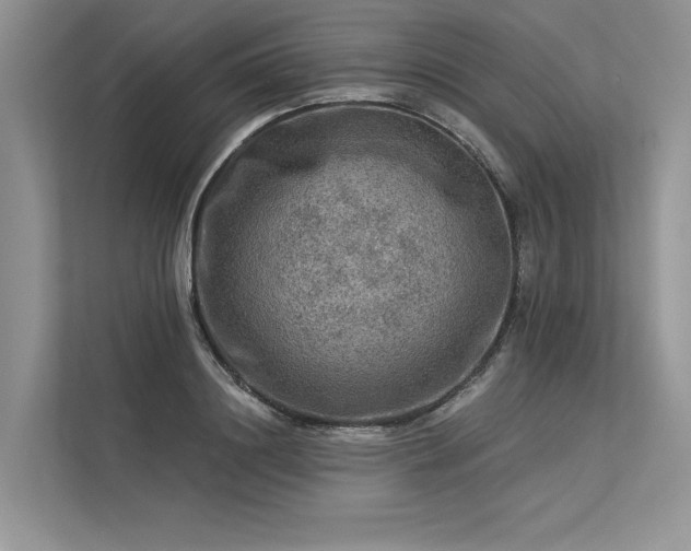 X0000113340844200909221122