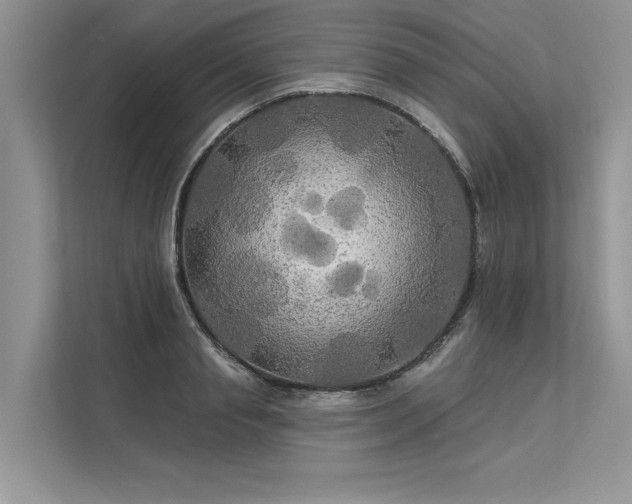 X0000113340845200909221122