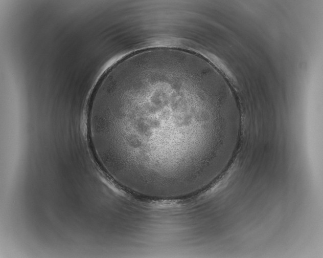 X0000113340846200909221122