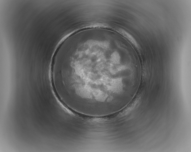 X0000113340847200909221122