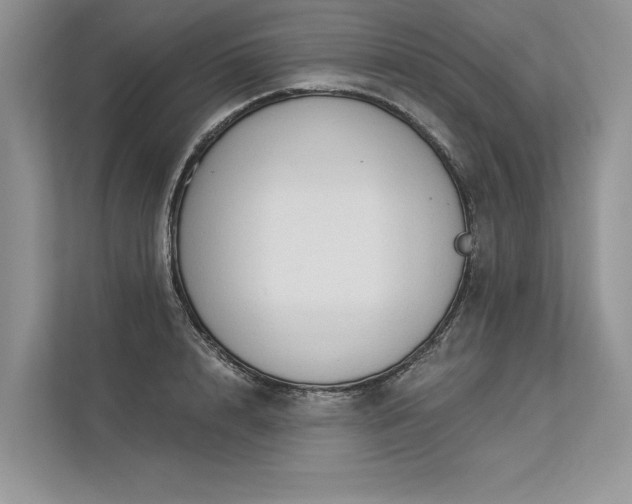 X0000113340848200909221122