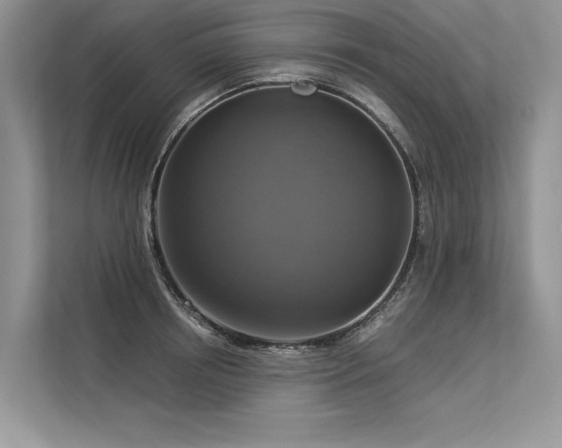 X0000113340850200909221122