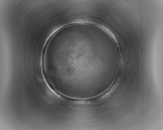 X0000113340855200909221122