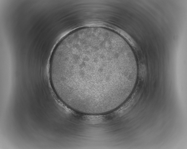 X0000113340856200909221122