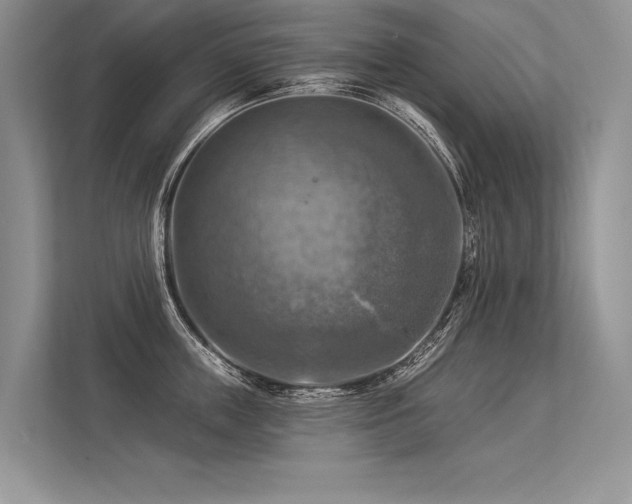 X0000113340859200909221122