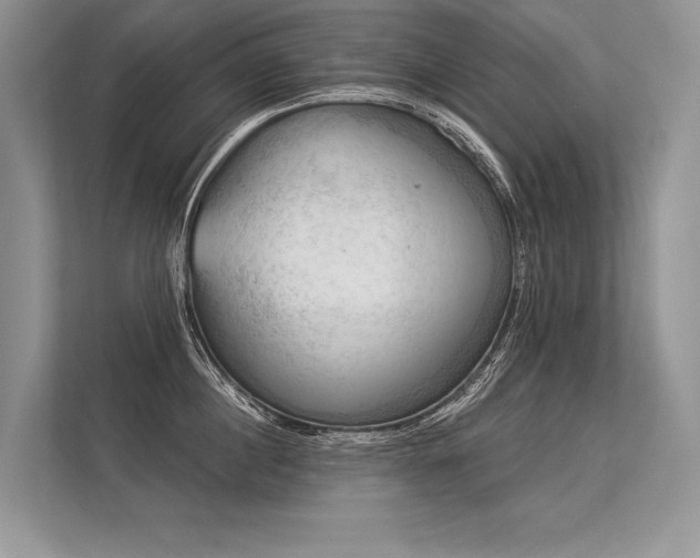 X0000113340860200909221122