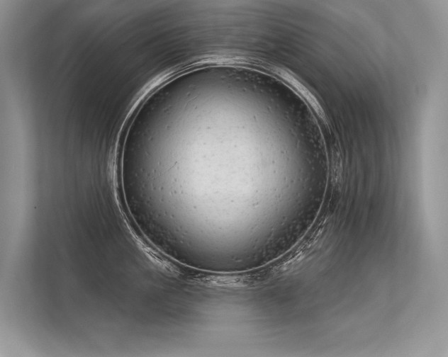 X0000113340861200909221122