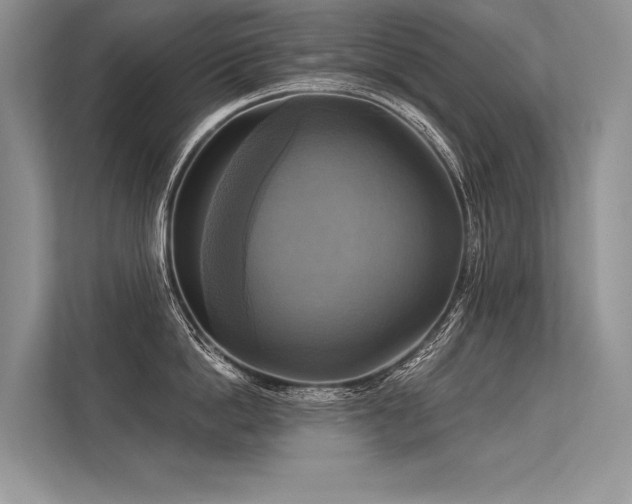 X0000113340862200909221122