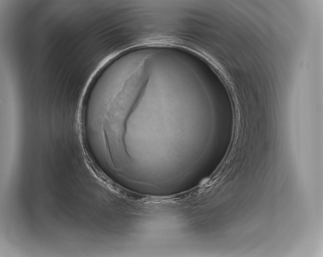 X0000113340864200909221122