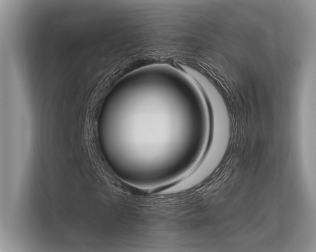 X0000113340865200909221121