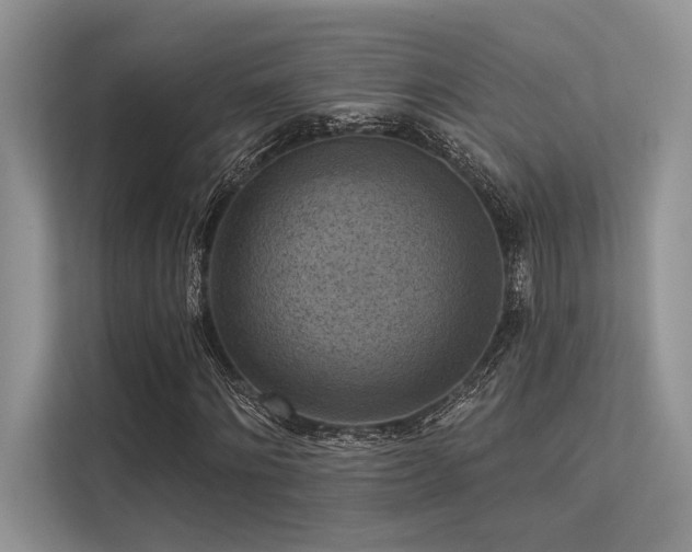 X0000113340868200909221121